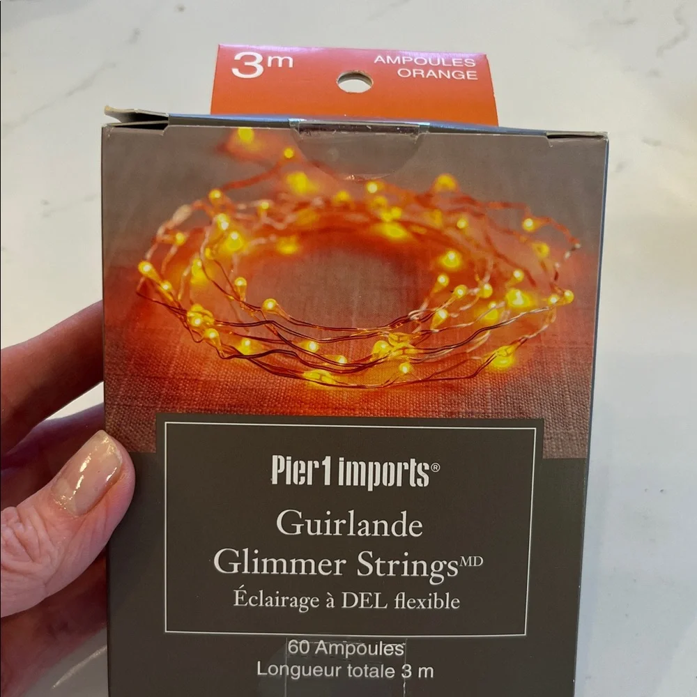 Pier 1 Imports Glimmer Strings Orange LED Lights